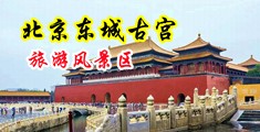 爱爱操中国北京-东城古宫旅游风景区